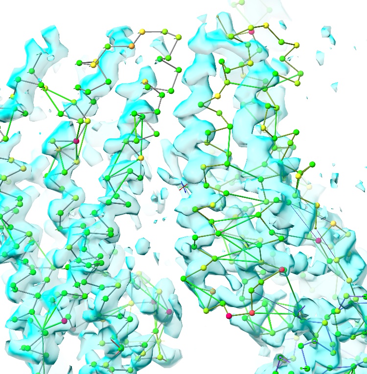 ../../_images/F_G_helices_out.jpg