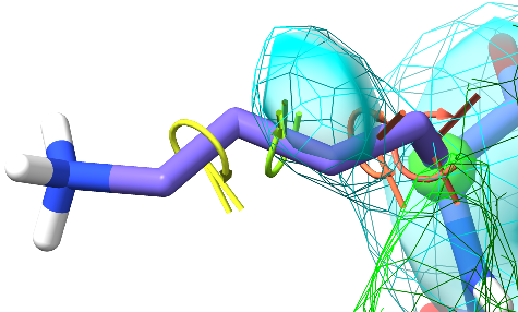Dihedral restraint visualisation