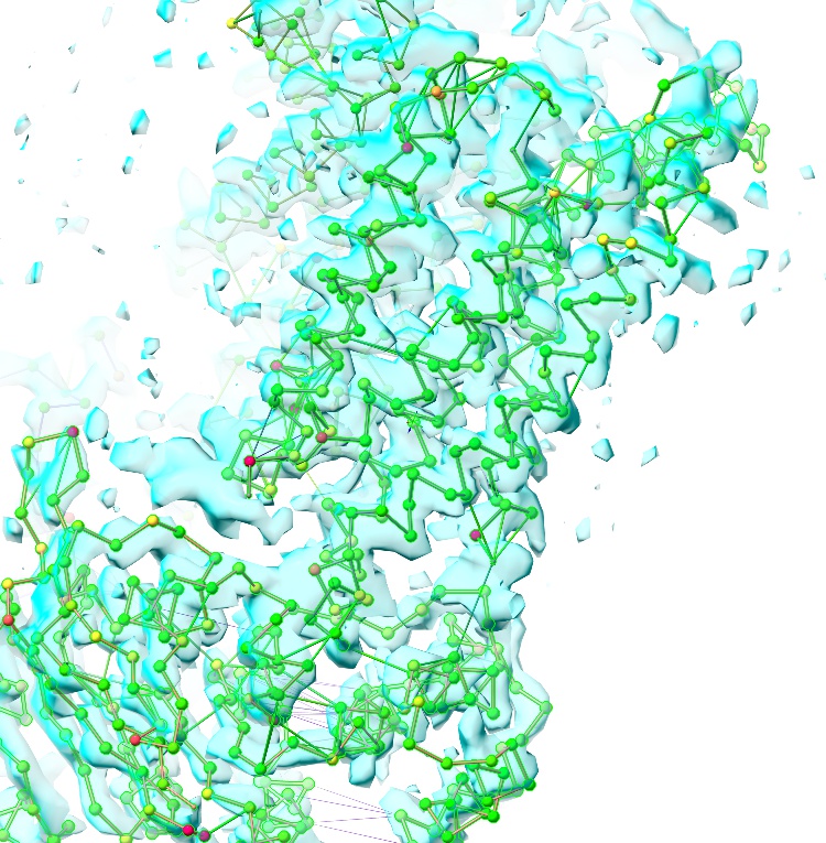 ../../_images/rough_fitted_ca_trace.jpg